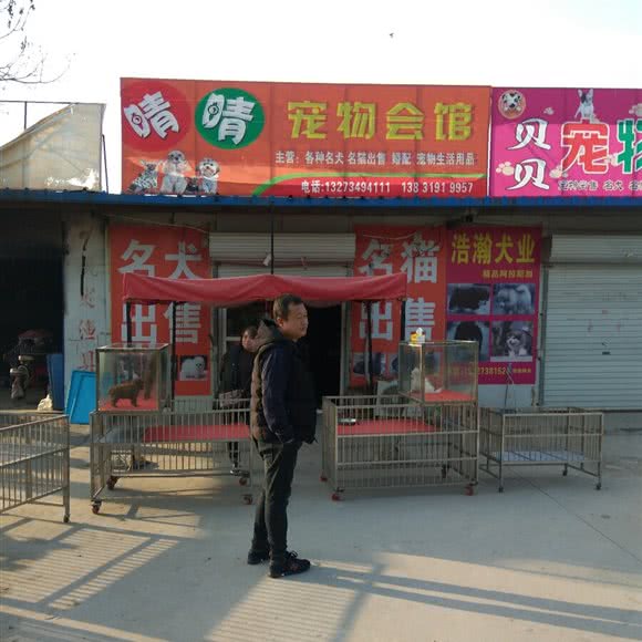 晴晴宠物会馆:邢台市襄都区