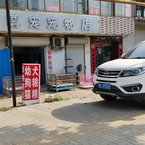 尊宠宠物店:邢台市襄都区
