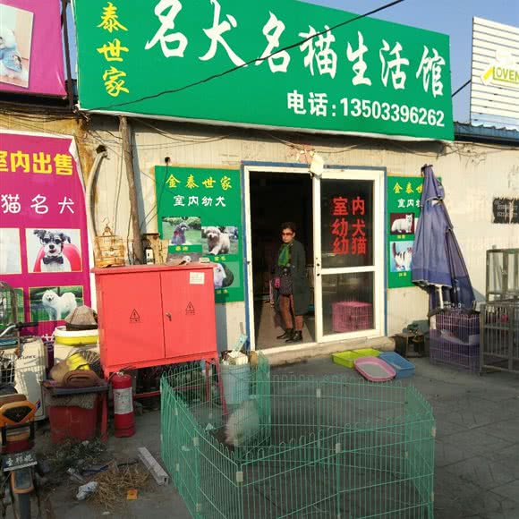金泰世家名犬名猫生活馆:邢台市襄都区