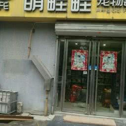 萌畦畦宠物会所:邢台市信都区