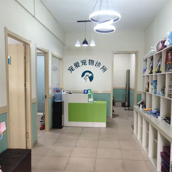 宠爱宠物诊所:邢台市信都区