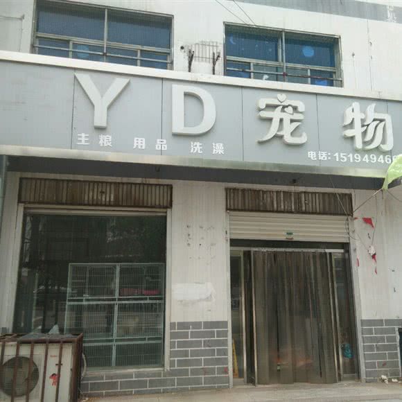 YD宠物:邢台市临城县