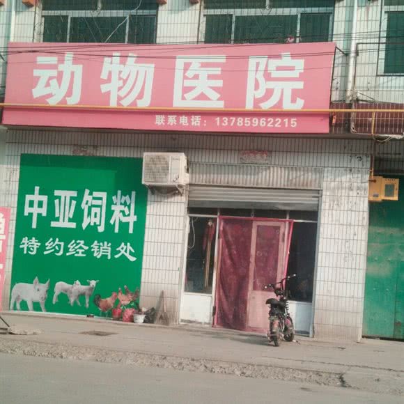 动物医院:邢台市柏乡县