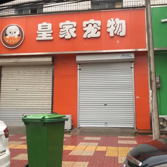 皇家宠物:邢台市隆尧县