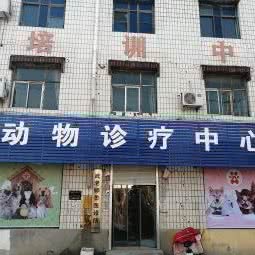 动物诊疗中心(隆尧店):邢台市隆尧县