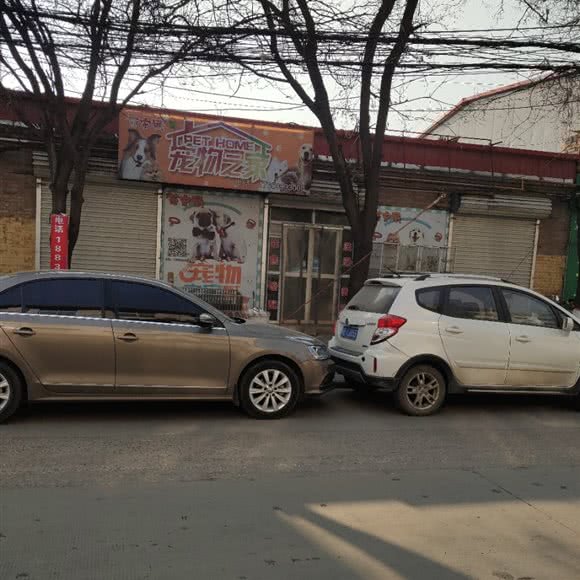 萌宠屋狗狗之家:邢台市宁晋县