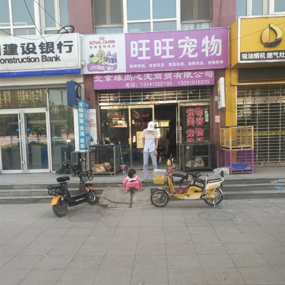 旺旺宠物:邢台市宁晋县