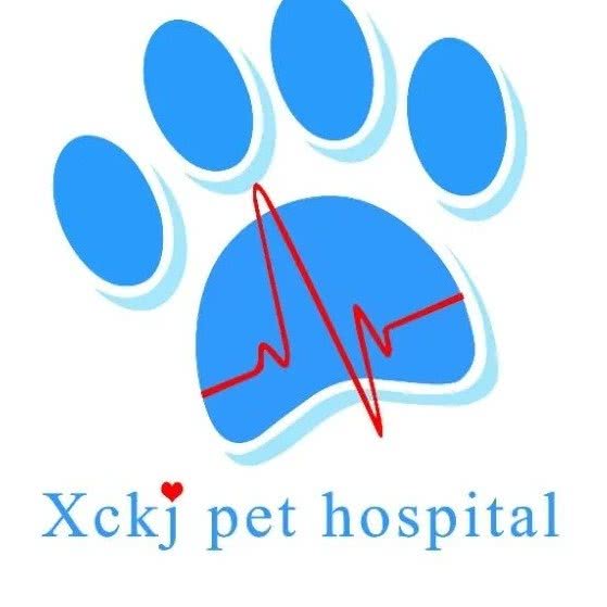 鑫宠康健·乐康宠物医院:保定市竞秀区乐凯大街附近