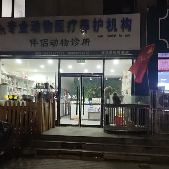 专业动物医疗养护机构伴侣动物诊所:邢台市宁晋县