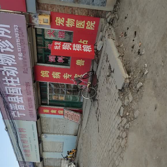宁晋县国柱动物诊所:邢台市宁晋县