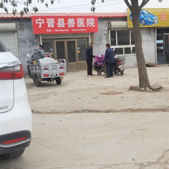 宁晋县兽医院:邢台市宁晋县