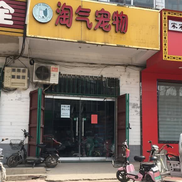 淘气宠物:邢台市广宗县