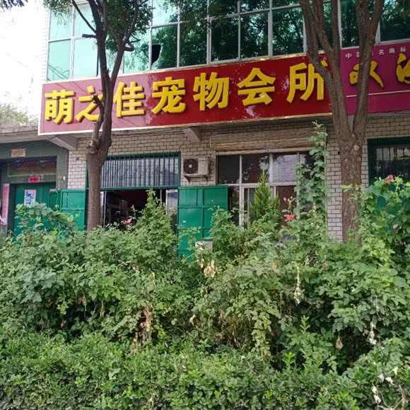 萌之尽如人意宠物会所:邢台市威县