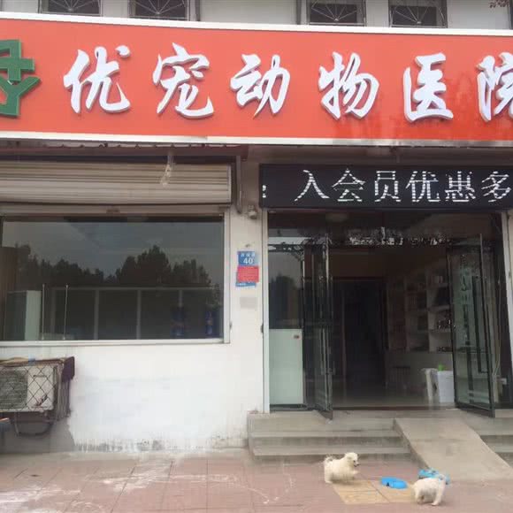 优宠动物医院:邢台市威县