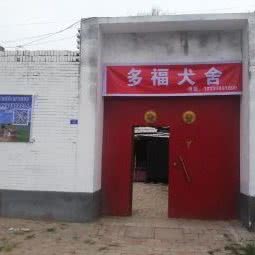 多福犬舍:邢台市清河县