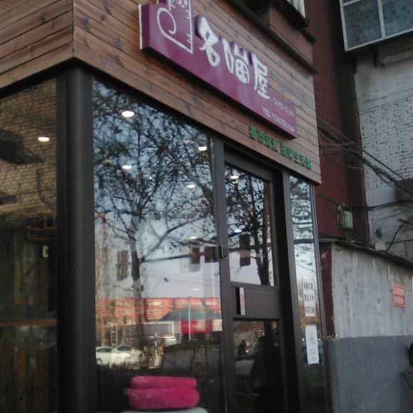 名喵屋:保定市竞秀区后屯附近