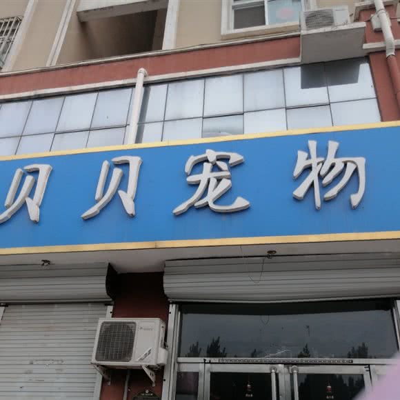 贝贝宠物生活会馆:邢台市南宫市