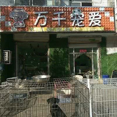 万千宠爱宠物生活会所:邢台市沙河市