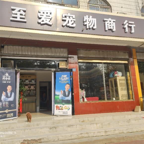 至爱宠物商行:邢台市沙河市