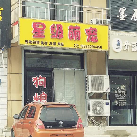 星级萌宠:保定市竞秀区