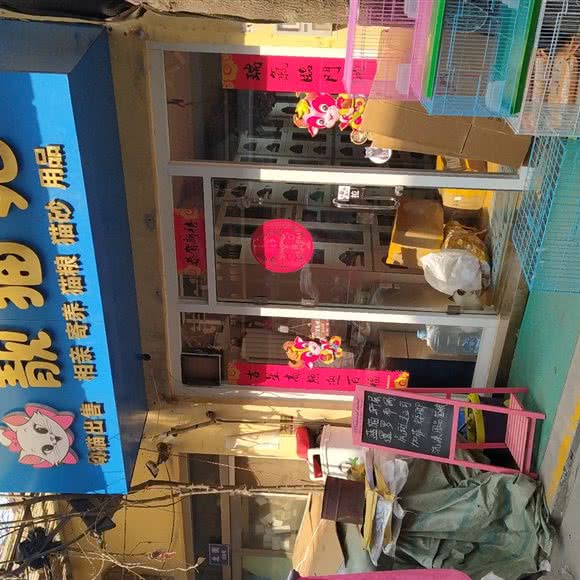 靓猫苑:保定市莲池区