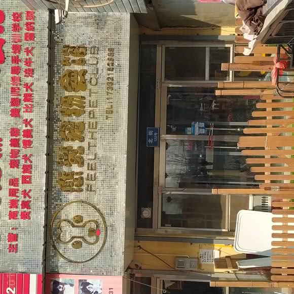 感觉宠物SPA会馆:保定市莲池区