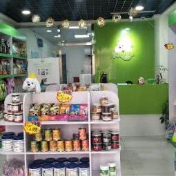 圣宠宠物(保定未来城店):保定市莲池区