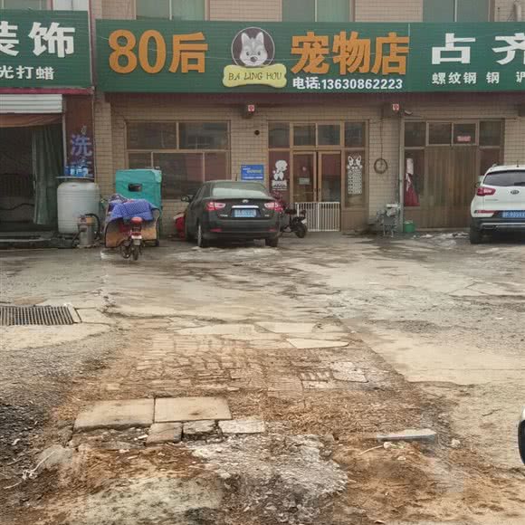 80后宠物店:保定市满城区