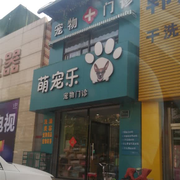萌宠乐宠物门诊:保定市满城区