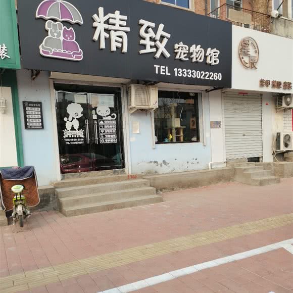 精致宠物馆:保定市清苑区