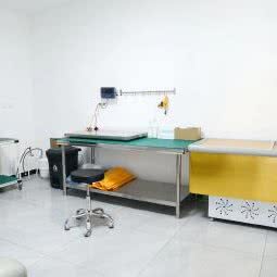 保定宠升?宠物殡葬火化:保定市清苑区