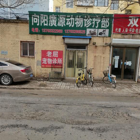 向阳廣源动物诊疗部:保定市清苑区