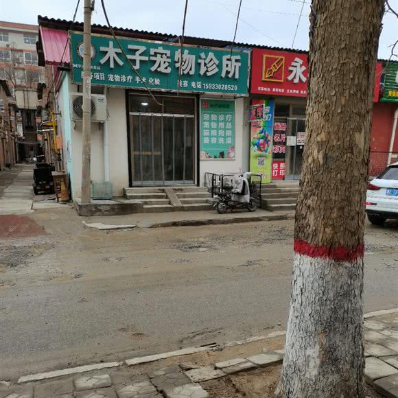 木子宠物狗诊所:保定市清苑区