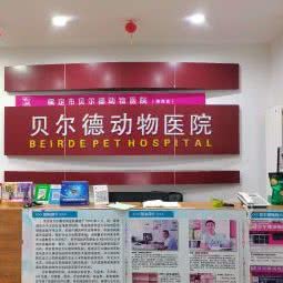 贝尔德宠物:保定市清苑区