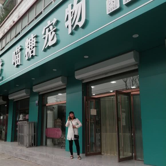 喵糖宠物:保定市徐水区