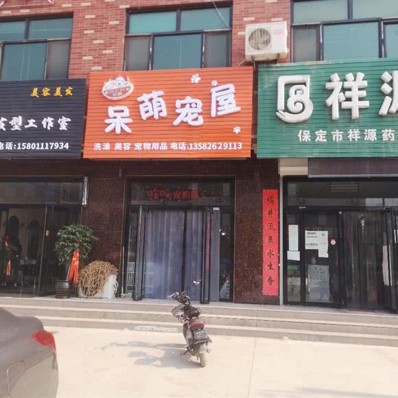 呆萌宠屋:保定市徐水区