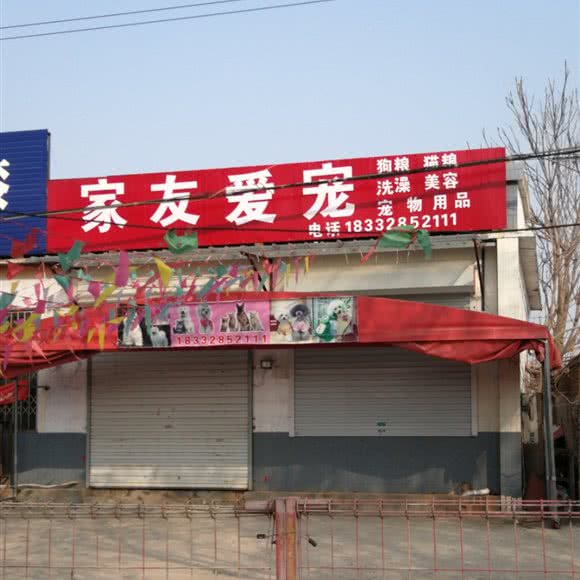 十家友爱宠:保定市徐水区