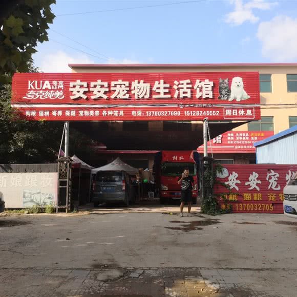 安安宠物生活会馆:保定市徐水区