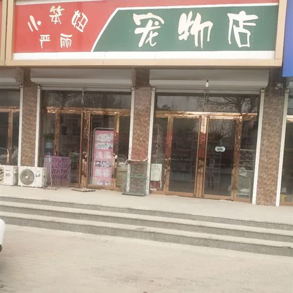 小笨妞严丽宠物店:保定市涞水县