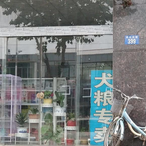 狗粮专卖:保定市涞水县