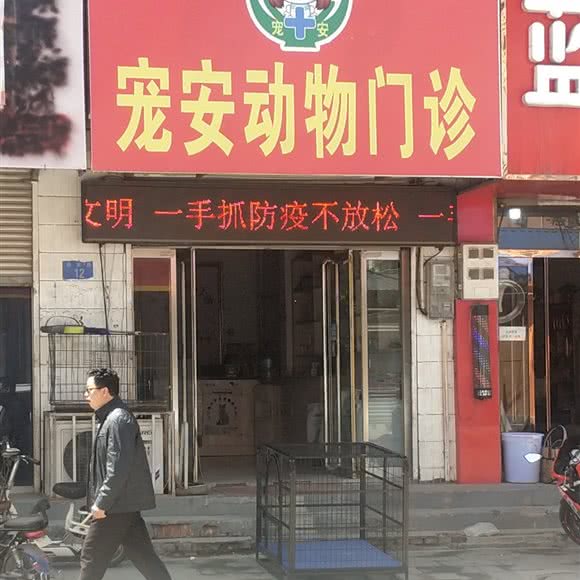 宠安动物门诊:保定市涞水县