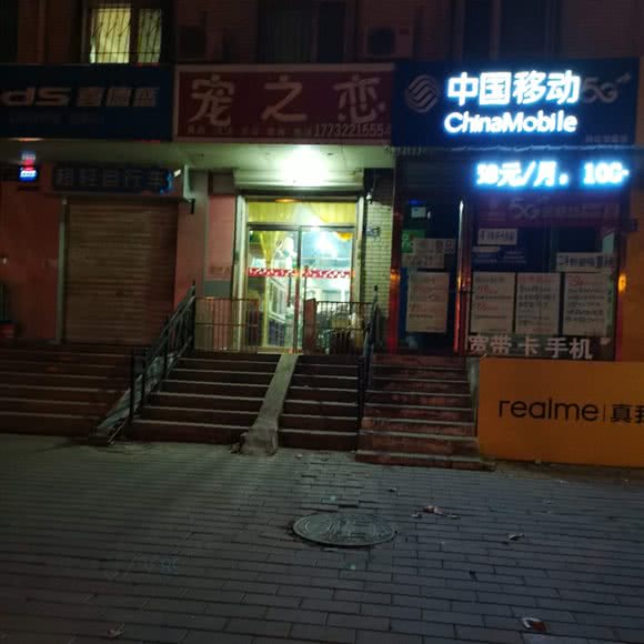 宠之恋:保定市竞秀区乐凯小学附近