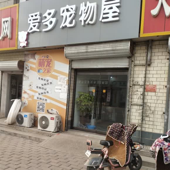 爱多狗狗屋:保定市定兴县