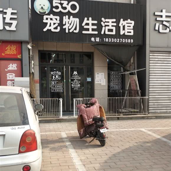 530宠物生活馆:保定市定兴县
