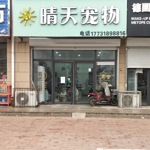 晴天宠物:保定市定兴县