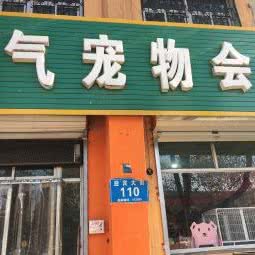 淘气宠物会所:保定市定兴县