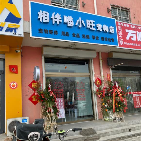 相伴喵小旺宠物店:保定市竞秀区农大西校区附近