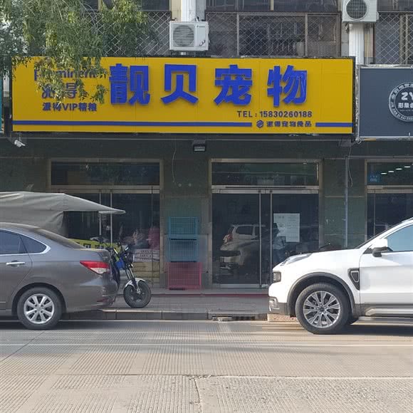 靓贝宠物:保定市高阳县