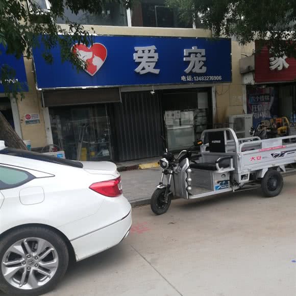 爱宠:保定市高阳县