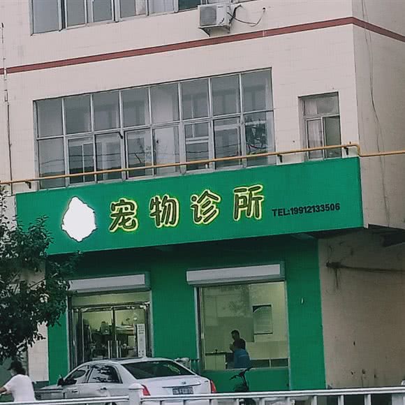 宠物诊所:保定市高阳县